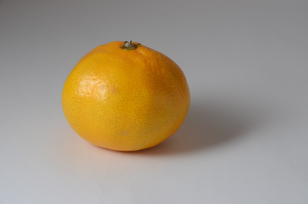 Produktfoto clementin Produktfoto clementin